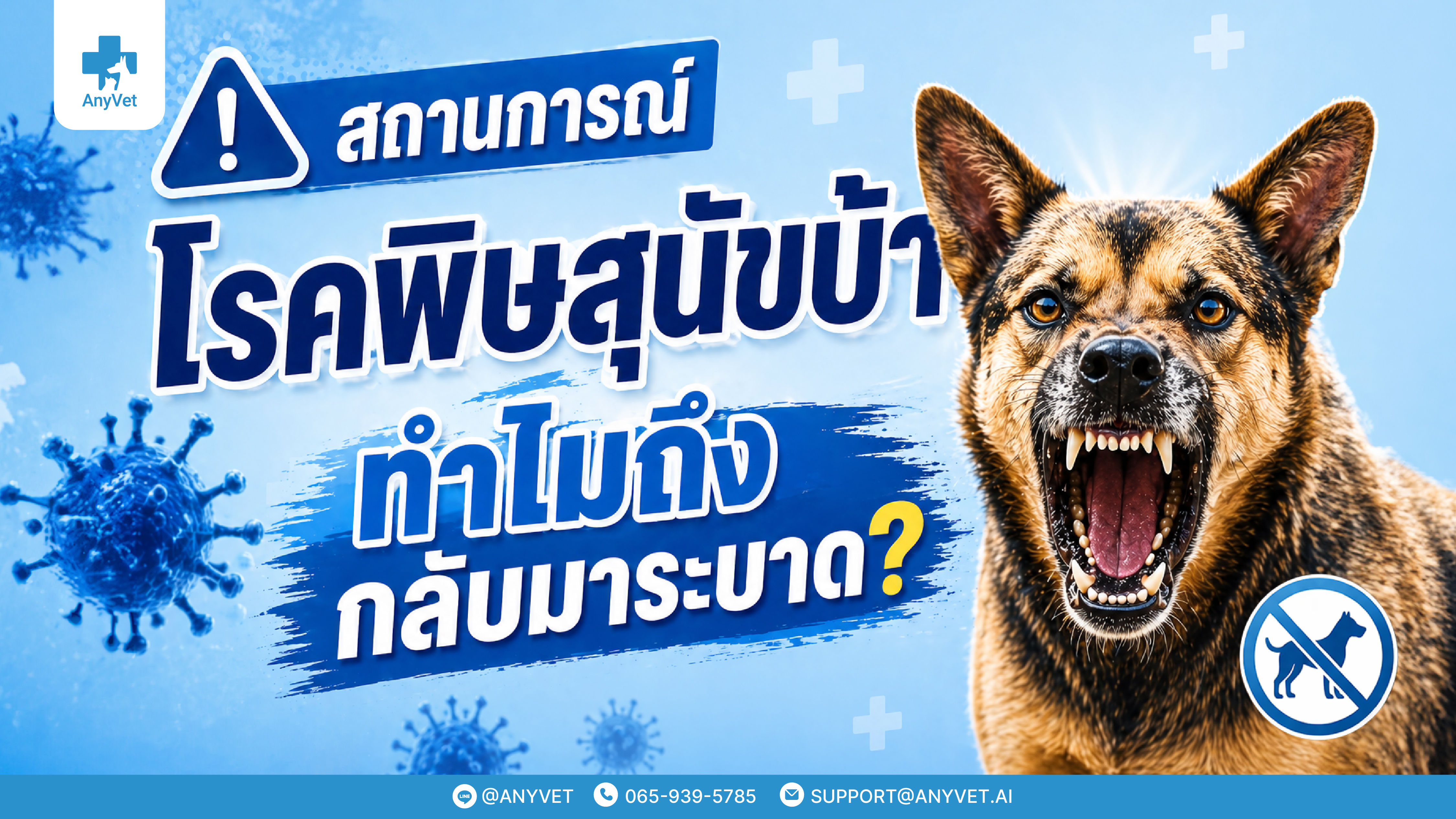 Warning! 2026 Summer Rabies Outbreak: Prevention Tips & Why "Microchipping" is a Game Changer